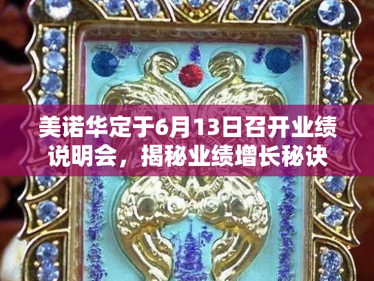 美诺华定于6月13日召开业绩说明会，揭秘业绩增长秘诀