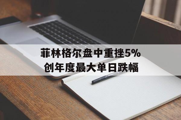 菲林格尔盘中重挫5% 创年度最大单日跌幅