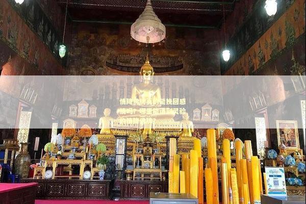 情降佛牌真的能挽回感情吗？哪里能请到灵验的情降佛牌？