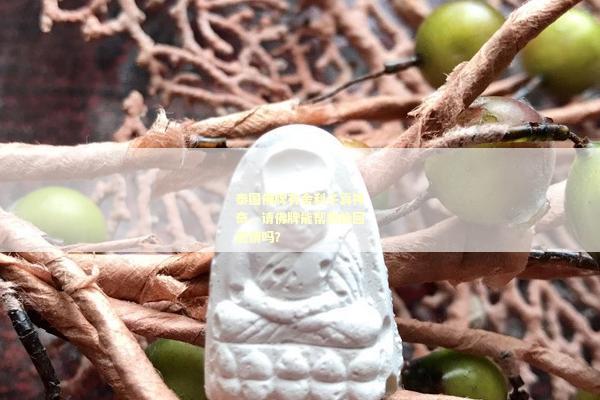 泰国佛牌有舍利子真神奇，请佛牌能帮我挽回感情吗？