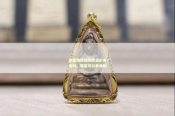 泰国佛牌蜘蛛牌真的有用吗，哪里可以恭请呢