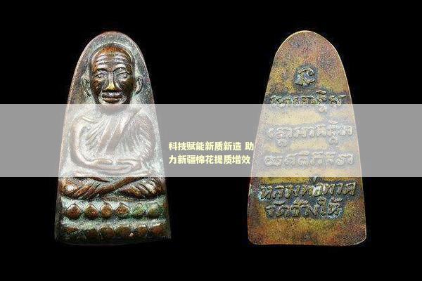 科技赋能新质新造 助力新疆棉花提质增效