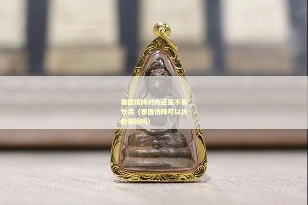 泰国情降对方还是不喜欢我（泰国情降可以拆散婚姻吗）