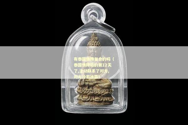 有泰国情降复合的吗（泰国情降后的第12天了,主动联系了对方,对方冷若冰霜）