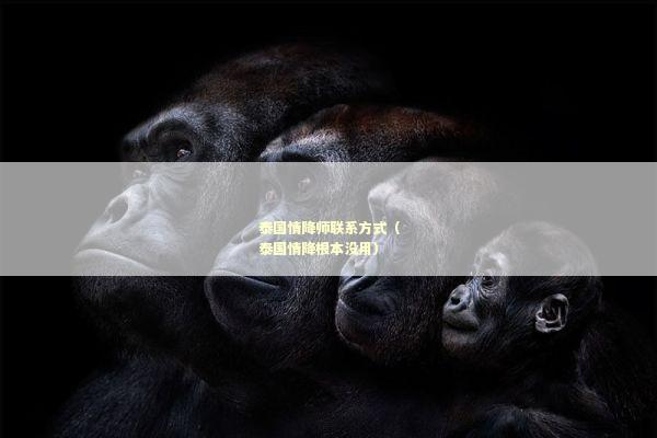 泰国情降师联系方式（泰国情降根本没用）