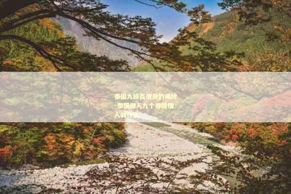 泰国九级高僧做的佛牌-泰国僧人九个等级僧人叫什么