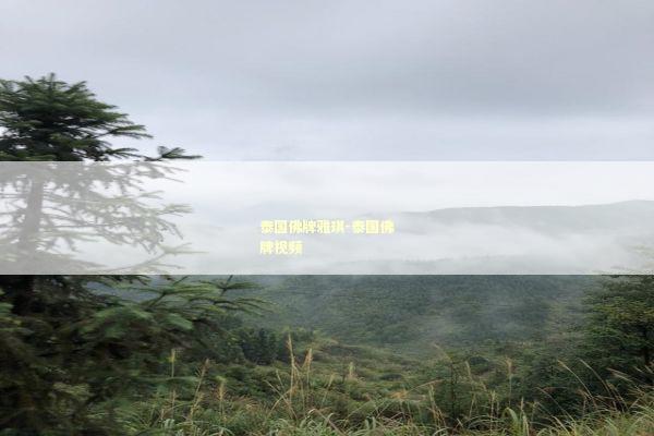 泰国佛牌雅琪-泰国佛牌视频