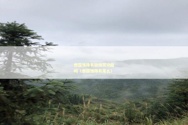 泰国情降有斩桃花功能吗（泰国情降有用么）