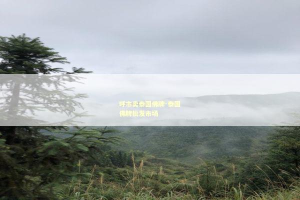 呼市卖泰国佛牌-泰国佛牌批发市场