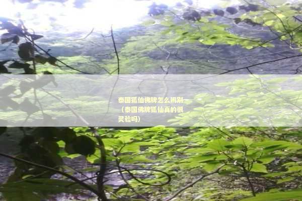 泰国狐仙佛牌怎么辨别（泰国佛牌狐仙真的很灵验吗）