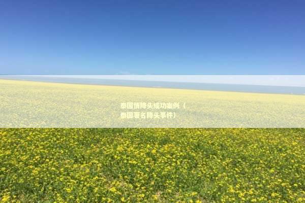 泰国情降头成功案例（泰国著名降头事件）