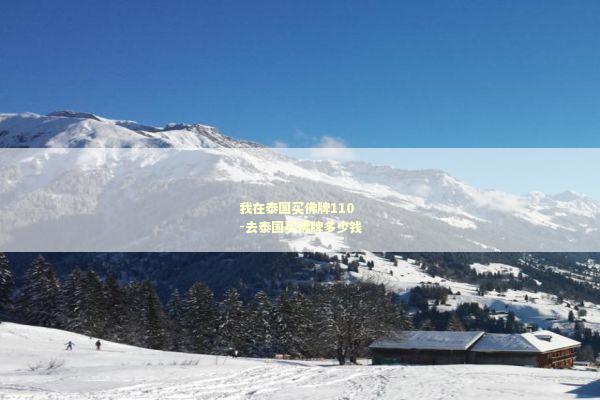 我在泰国买佛牌110-去泰国买佛牌多少钱