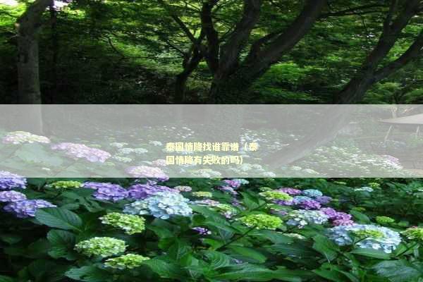 泰国情降找谁靠谱（泰国情降有失败的吗）