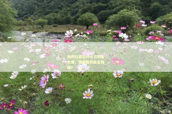 如何让老公对小三态度大变，情感危机能否挽回？