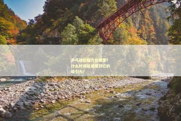 乒乓球的魅力在哪里？什么时候能感受到它的吸引力？