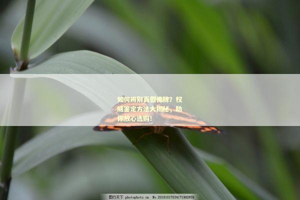 如何辨别真假佛牌？权威鉴定方法大揭秘，助你放心选购！