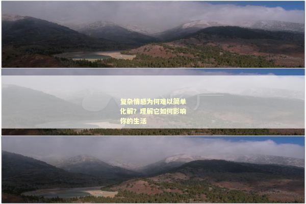 复杂情感为何难以简单化解？理解它如何影响你的生活