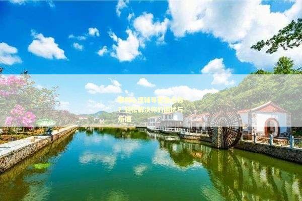 哪种心理辅导更适合你？轻松解决你的困扰与烦恼