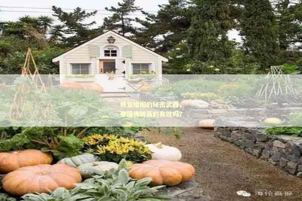 修复婚姻的秘密武器，泰国佛牌真的有效吗？