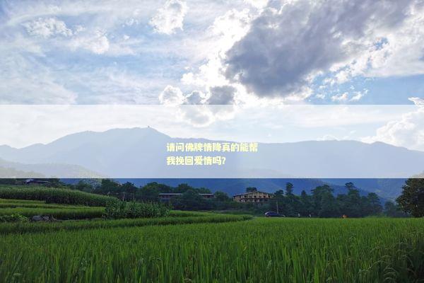 请问佛牌情降真的能帮我挽回爱情吗？