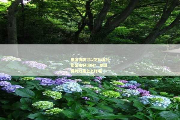 泰国佛牌可以寄吗真的能带来好运吗？ 泰国佛牌效果怎么样呢