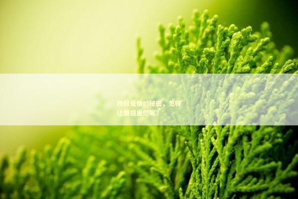 挽回爱情的秘密，怎样让情感重燃呢？