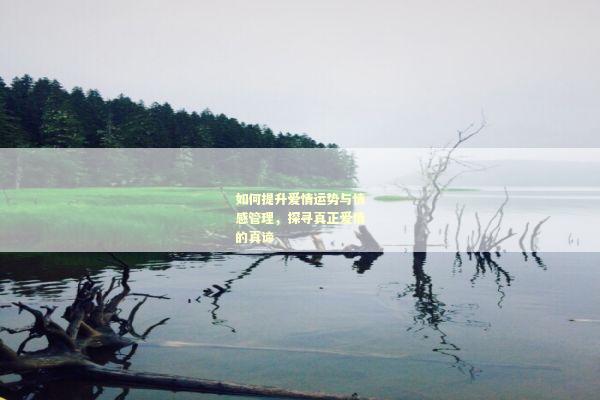 如何提升爱情运势与情感管理，探寻真正爱情的真谛