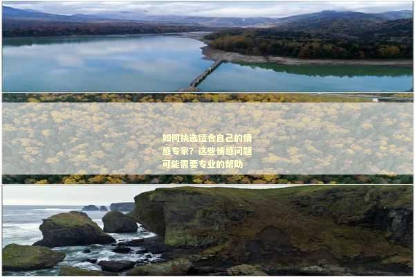 如何挑选适合自己的情感专家？这些情感问题可能需要专业的帮助