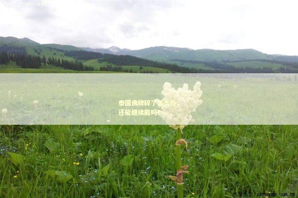 泰国佛牌碎了怎么办，还能继续戴吗？