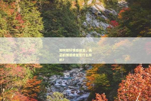 如何做好情感修复，真正的情感修复是什么样的？