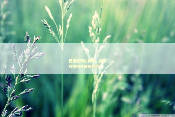 挽回爱情的佛牌，能否有效提升情感运势？