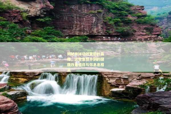 揭秘神秘功效背后的真相，这些意想不到的健康改善或许与你息息相关