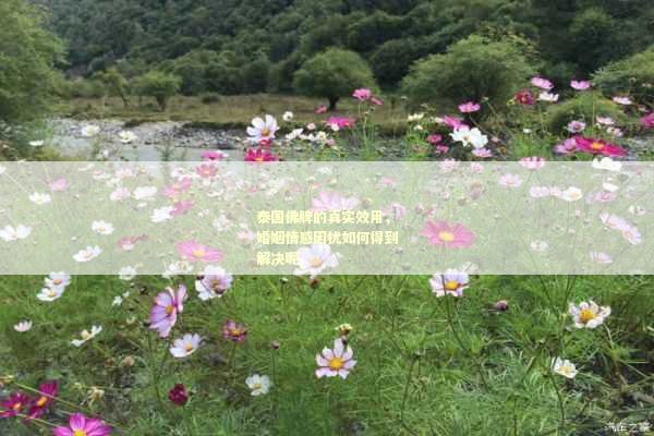 泰国佛牌的真实效用，婚姻情感困扰如何得到解决呢