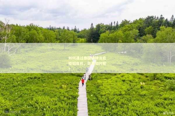 如何通过泰国佛牌治愈婚姻危机，效果如何呢？