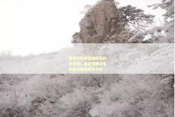 感情挽回泰国佛牌真的有效吗？泰国情降法事挽回感情需要多少钱