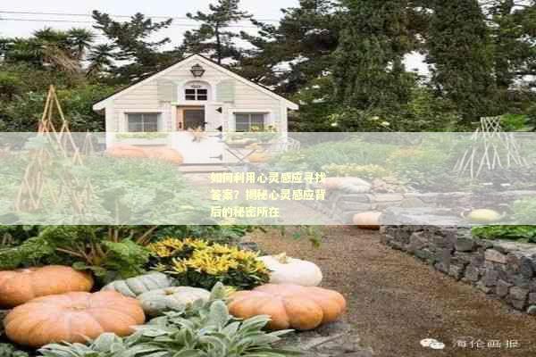 如何利用心灵感应寻找答案？揭秘心灵感应背后的秘密所在
