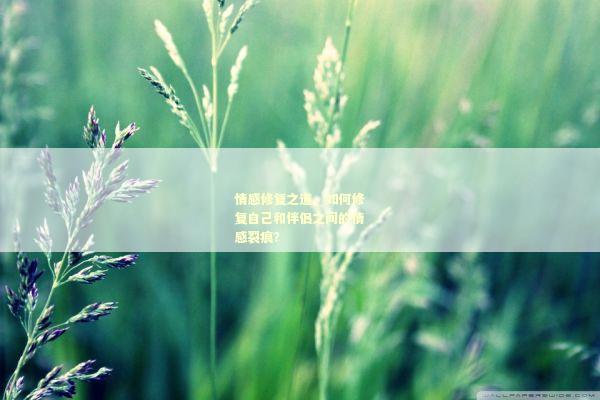 情感修复之道，如何修复自己和伴侣之间的情感裂痕？